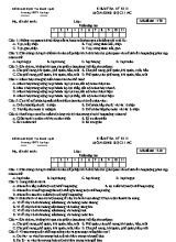Bộ đề kiểm tra 15 phút học kì II môn Sinh học Lớp 11 lần 1 (Nâng cao) - Trường THPT Lê Lợi